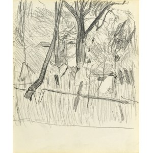 Stanislaw KAMOCKI (1875-1944), Strom, VI 1903