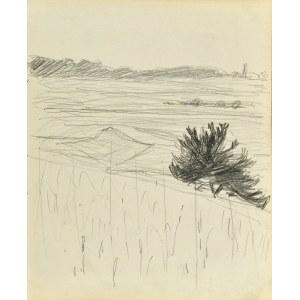 Stanislaw KAMOCKI (1875-1944), Landscape near Krakow, summer 1903