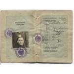 PASS. Paszport. Dokument wystawiony Wiktorii Charytek z Częstochowy dn. 10 XII 1915 tamże, uprawniający do przekroczenia...