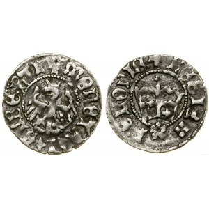 Polen, Kronen-Halbpfennig, Krakau