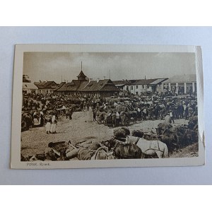 POSTCARD PIŃSK, MARKET, PRE-WAR