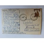 POCZTÓWKA NIEBORÓW, ALEJA DO ARKADII, ZNACZEK, STEMPEL ŁOWICZ