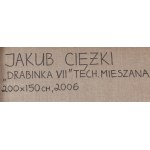 Jakub Ciężki (ur. 1979, Lublin), Drabinka VII z cyklu Plac Zabaw, 2006