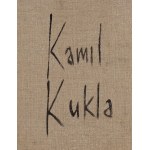 Kamil Kukla (b. 1989, Tarnow), 16IPD, 2016