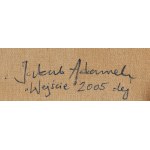 Jakub Adamek (ur. 1975, Sosnowiec), Wejście, 2005
