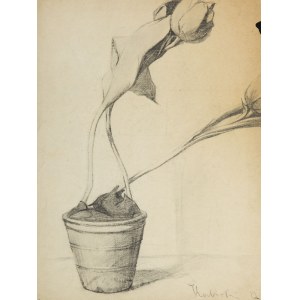 Stanisław Kubicki (1889 Ziegenhain - 1942 Berlín), Tulipány v kvetináči (recto) / Architektonické skice a štúdie k autoportrétu (verso), 1913