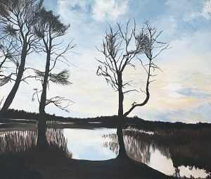 Agnieszka Dziklińska, Jezioro Czos 3,