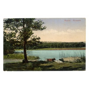 Murawa - jezioro mazurskie (2211)