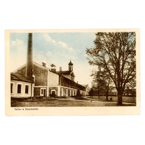 Bolechów - Salina (162)