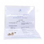 Gübelin sapphire diamond ear clips