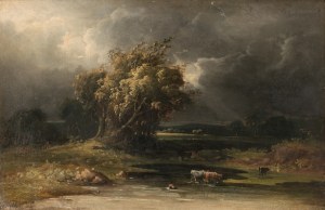 Cox David (młodszy)