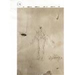 Joseph Beuys (1921 Kleve - 1986 Düsseldorf) (F)