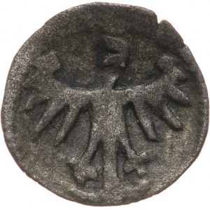 Kazimierz IV Jagiellończyk 1446-1492, denar koronny