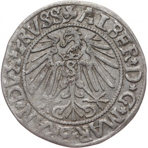 Prusy Książęce, Albert Hohenzollern 1525-1568, grosz 1542, Królewiec