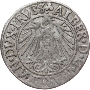 Prusy Książęce, Albert Hohenzollern 1525-1568, grosz 1542, Królewiec