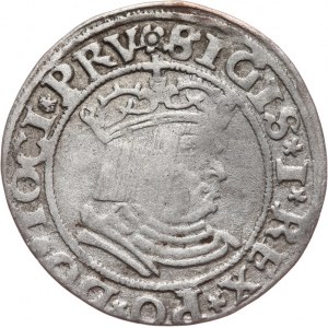 Zygmunt I Stary 1506-1548, grosz 1530, Toruń