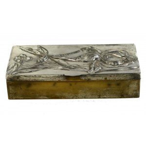 Art Nouveau casket (109)