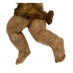 Putto - odst. 18. Vzácnost (609)