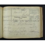 Album ślubny dziekana Wydziału Lekarskiego Uniwersytetu Jagiellońskiego, 1909 (881)