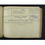 Album ślubny dziekana Wydziału Lekarskiego Uniwersytetu Jagiellońskiego, 1909 (881)