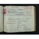 Album ślubny dziekana Wydziału Lekarskiego Uniwersytetu Jagiellońskiego, 1909 (881)
