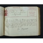 Album ślubny dziekana Wydziału Lekarskiego Uniwersytetu Jagiellońskiego, 1909 (881)