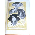 FISCHER-DÜCKELMANN - KOBIETA LEKARKĄ DOMOWĄ wyd. 1908r. secesyjna oprawa