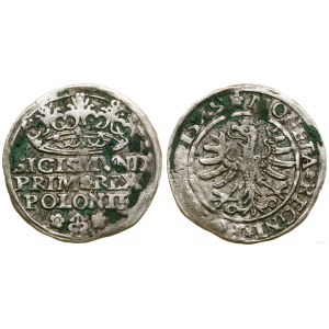 Poľsko, penny, 1529, Krakov