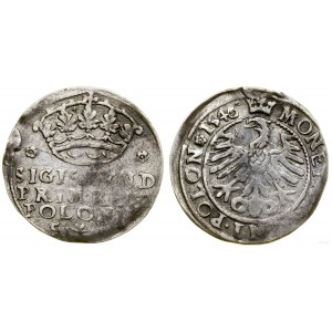 Poland, grosz, 1546, Krakow