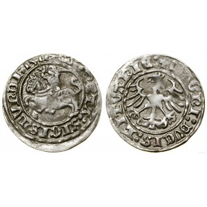 Polen, halber Pfennig, 1511, Vilnius