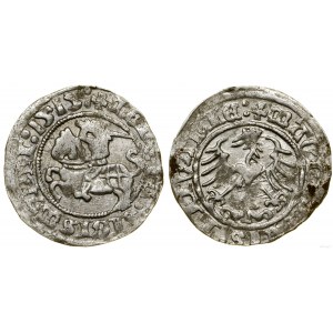 Poland, half-penny, 1515, Vilnius