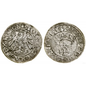 Poland, sheląg, 1546, Gdansk