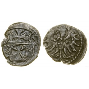 Polska, denar, 1555, Elbląg