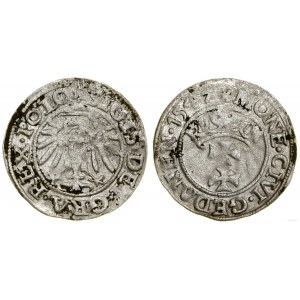 Poland, sheląg, 1547, Gdansk