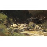 Emilie Mediz-Pelikan, Vöcklabruck 1861 - 1908 Leubnitz-Neuostra, Brook landscape