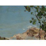 Landscape, oil on cardboard