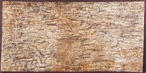 Teresa Tyszkiewicz (1953 Ciechanów - 2020 Paryż, Francja), 