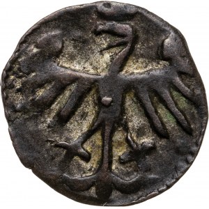 denar, Kazimierz Jagiellończyk, 1447-1492
