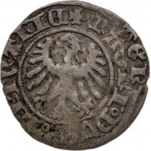 półgrosz, Aleksander Jagiellończyk, 1501-1506, Wilno, destrukt