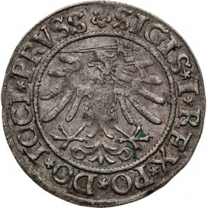 grosz 1533, Zygmunt I Stary, 1506-1548, Elbląg