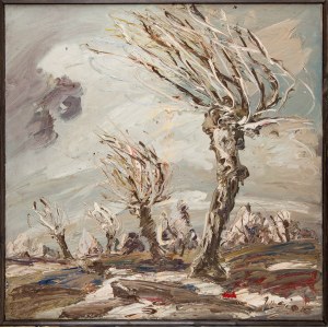 Andrzej Maciej CIOK (ur. 1938), Zima