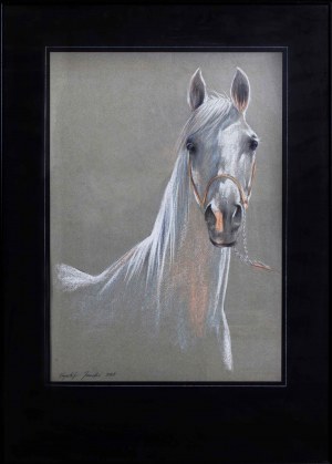Krzysztof JAROCKI (ur. 1959), Głowa konia, 1993