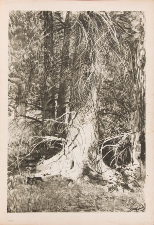 Leon WYCZÓŁKOWSKI (1852 - 1936) wg, Teka 10 reprodukcji, 1952