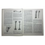 Plastic anatomy and human image based on its principles. M.Ts.Rabinovich.