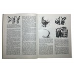 Plastic anatomy and human image based on its principles. M.Ts.Rabinovich.