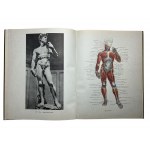 Plastic anatomy and human image based on its principles. M.Ts.Rabinovich.