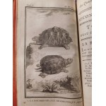 1788 [Crocodiles-ovipares 12 FIGURES] LA CEPEDE COMTE DE, Histoire naturelle des quadrupédes, ovipares et des serpens (...). Tome premier.