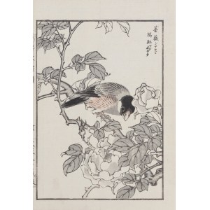 Kikuchi Hobun (1862-1918), Ptak i róża, Kioto, 1890