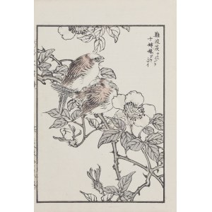Kikuchi Hobun (1862-1918), Ptasia para na dzikiej róży, Kioto, 1890