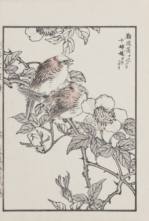 Kikuchi Hobun (1862-1918), Ptasia para na dzikiej róży, Kioto, 1890